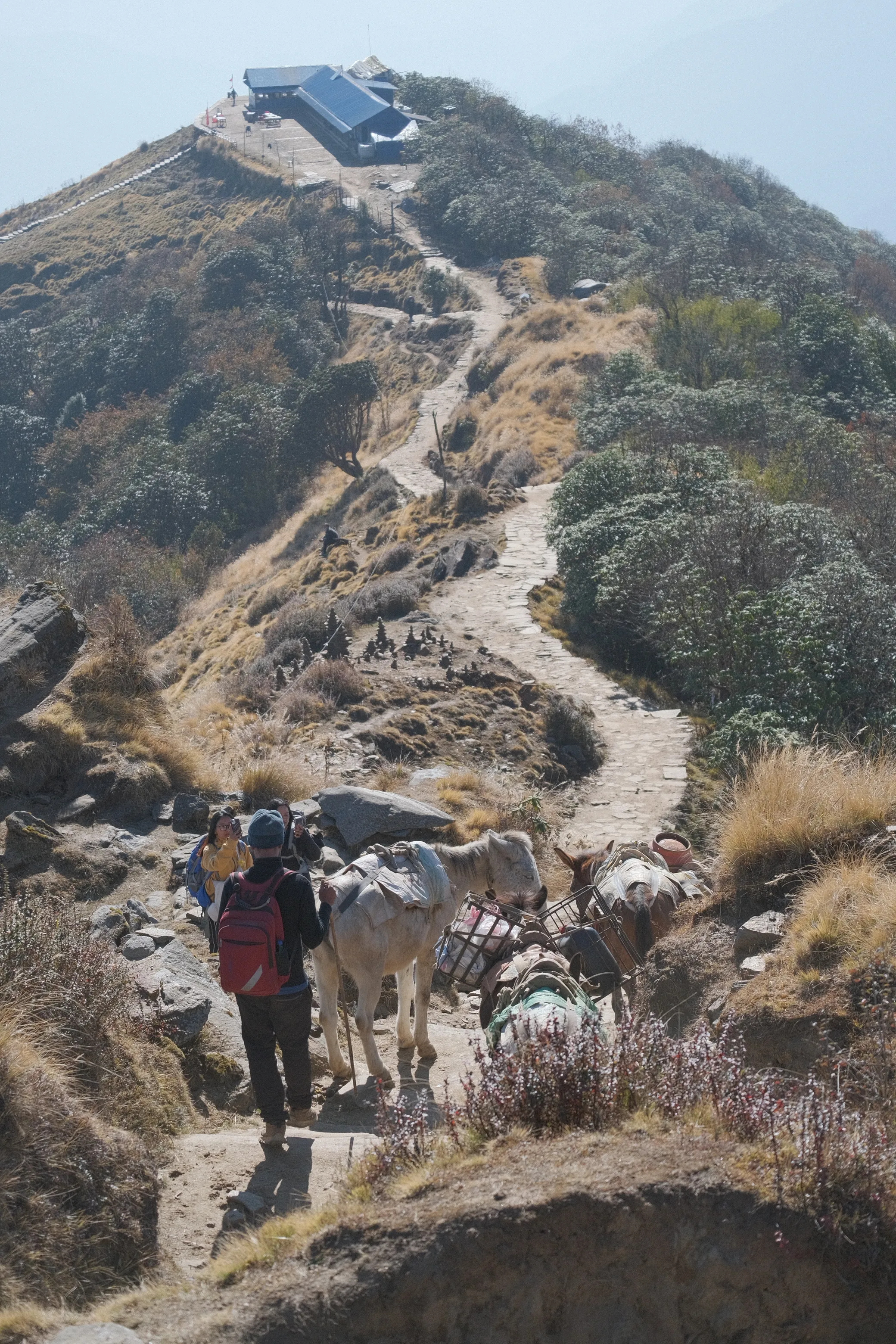 Mardi Himal Trek