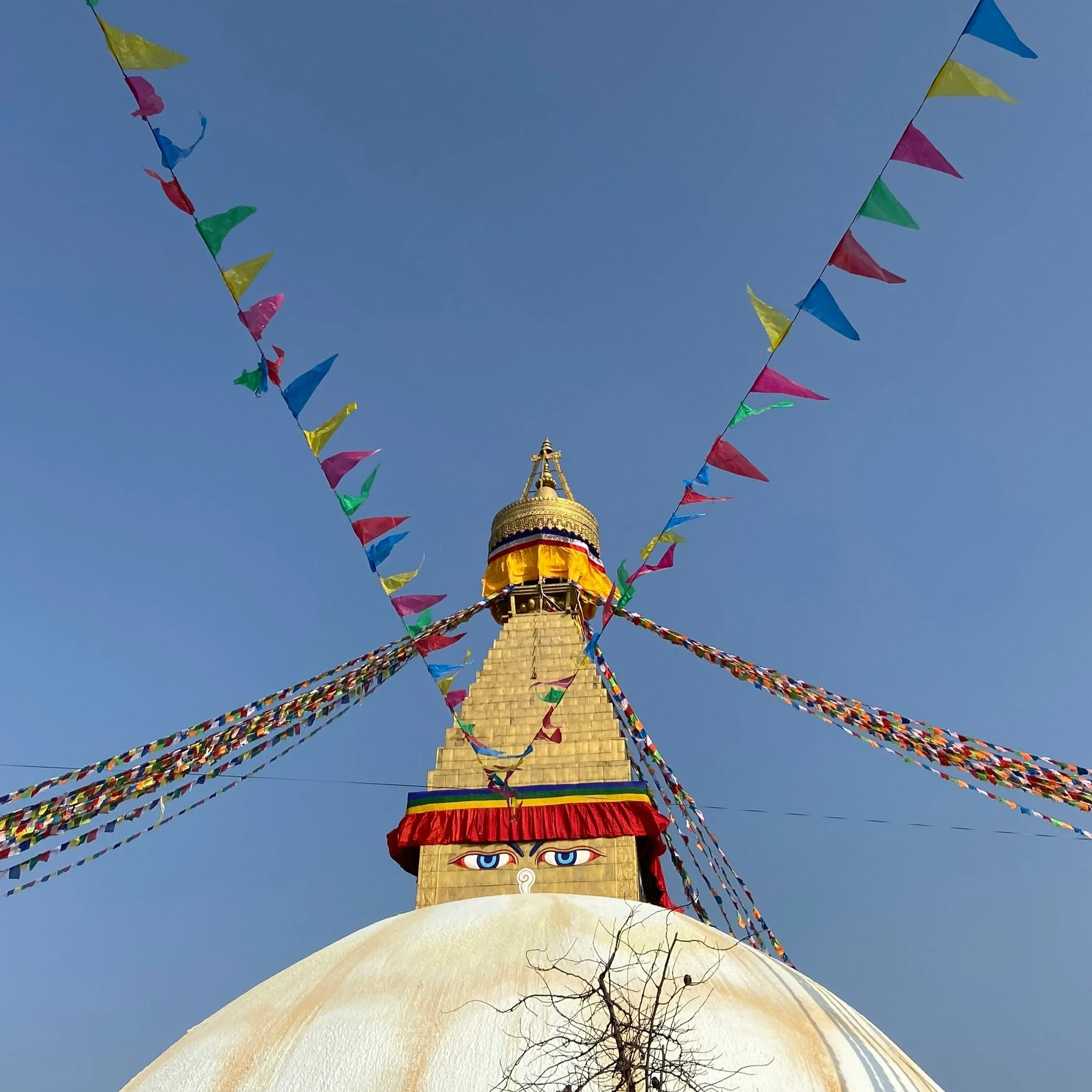 Professional trekking guide in Nepal